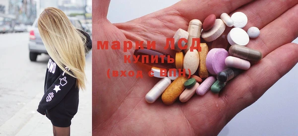 прущие грибы Вязьма