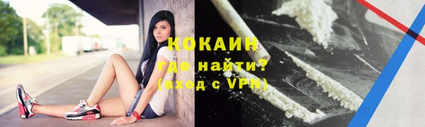 прущие грибы Вязьма