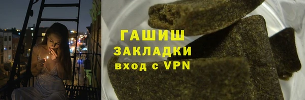 прущие грибы Вязьма