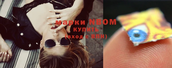прущая мука Вяземский