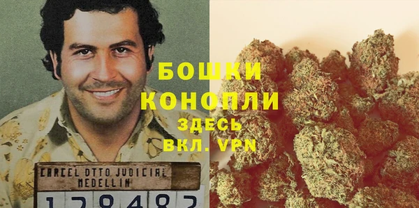 прущие грибы Вязьма