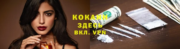 прущая мука Вяземский