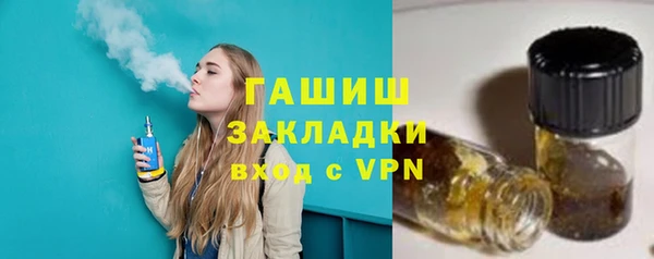 прущие грибы Вязьма