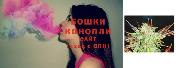 прущие грибы Вязьма