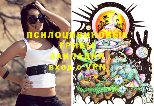прущая мука Вяземский