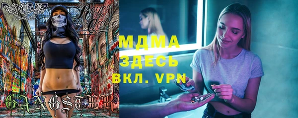 прущие грибы Вязьма