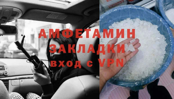 прущие грибы Вязьма