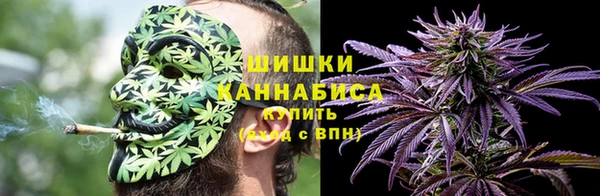 прущая мука Вяземский