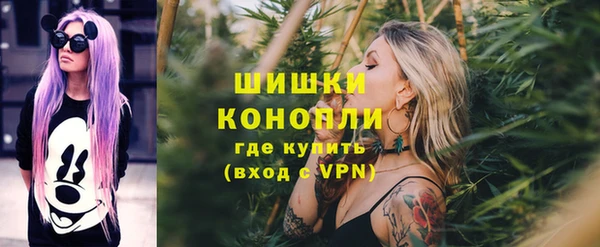 прущие грибы Вязьма