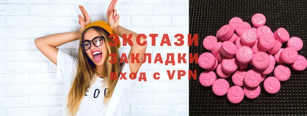 прущие грибы Вязьма