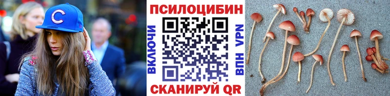 Галлюциногенные грибы мухоморы  Купить  Козельск 